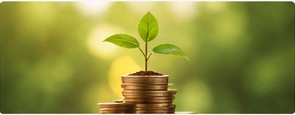 Small plant growing beside a stack of coins